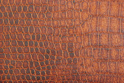 luxury brown crocodile texture close-up