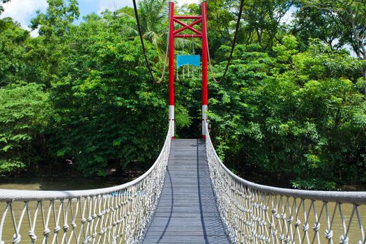 Rope walkway through the treetops in forest