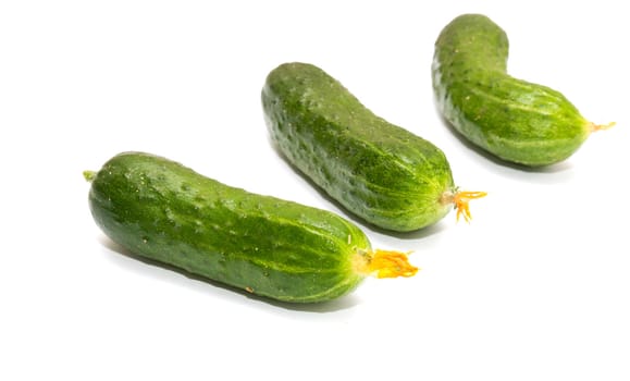 Fresh cucumbers on a white background