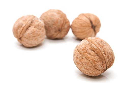 Walnut on a white background