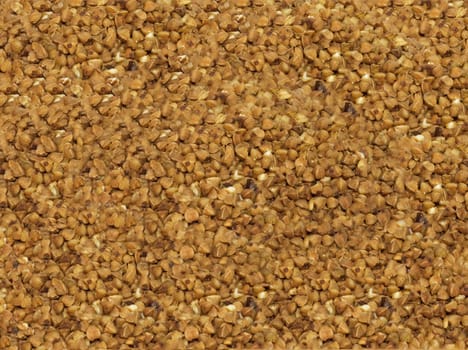 background buckwheat