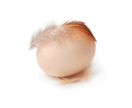 egg with feathers on a white background