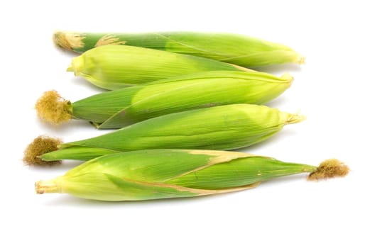 corn on a white background