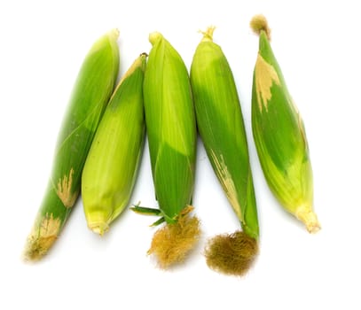 corn on a white background