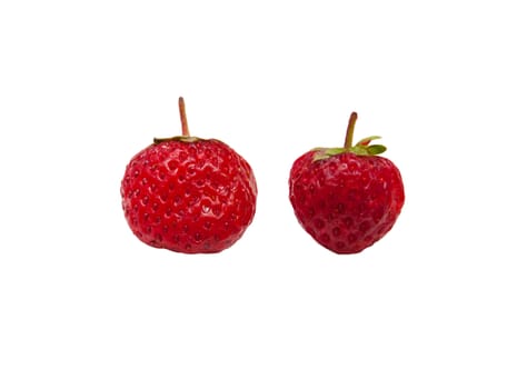 strawberries on a white background
