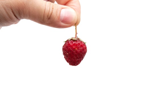 strawberry in her hand on a white background