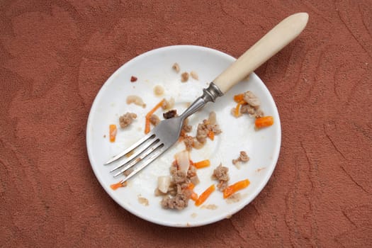 dirty plate with a fork