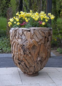 wooden vase with yellow narcissus on floriade