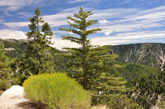 Looking over Big Bear Valley in the mountains of Southern California.