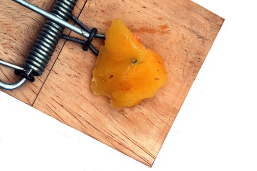 close up of traditional mouse trap with cheese