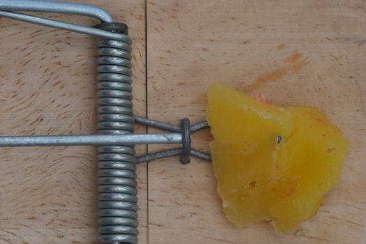 Mouse trap with cheese in close up