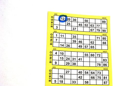 Bingo Card with one number circled