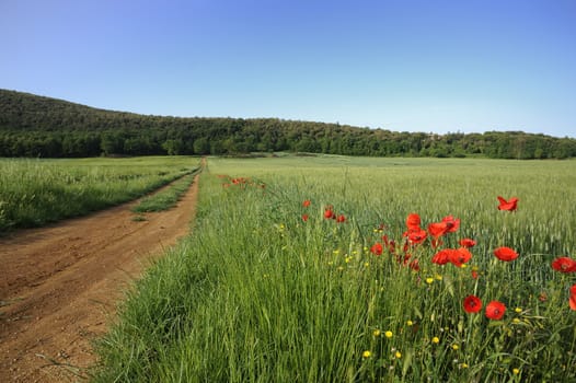 A beautiful landscape in spring time in Italy