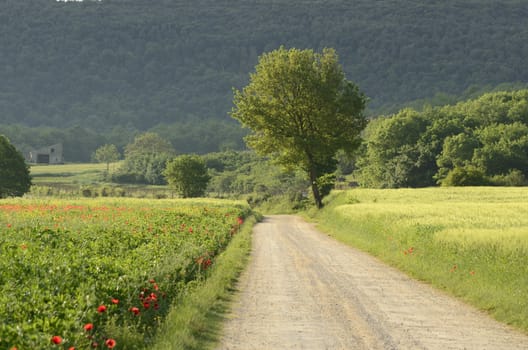 A beautiful landscape in spring time in Italy