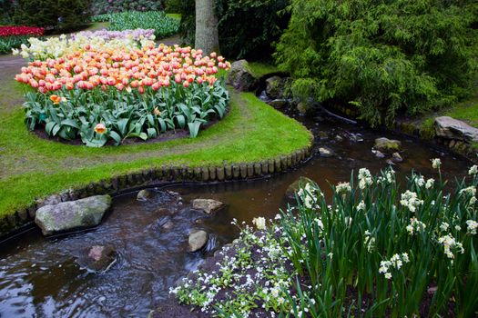 Colorful spring summer garden with tulip flowers in a sunny day