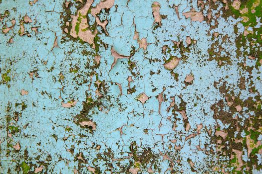 The old cracked paint on a wall surface 