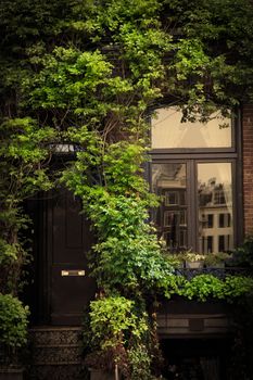 Retro vintage house entrance, door, window, ivy leaves