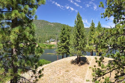 View of Big Bear Lake from a forested hilltop in the Southern California mountains.
