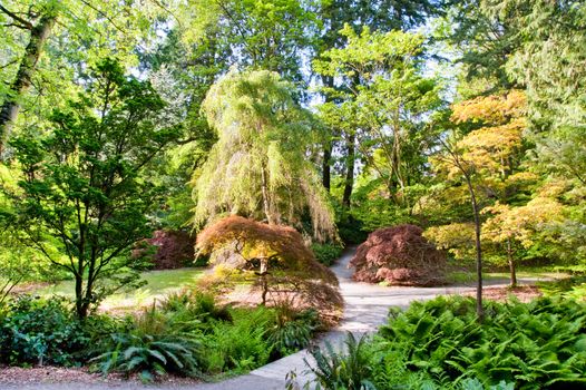 Seattle Park during spring