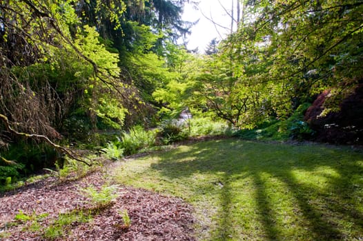 Seattle Park during spring