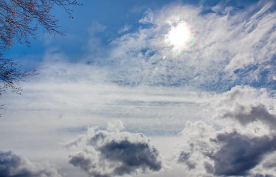 A picture of the sky, with different type of clouds and the sun with a tree in the corner.