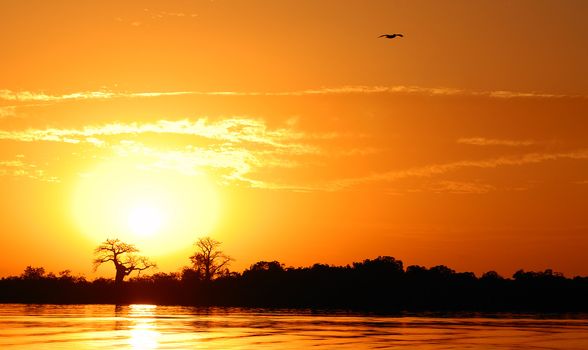 African landscape, Senegal, sine saloum