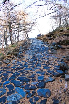 Stone pathway