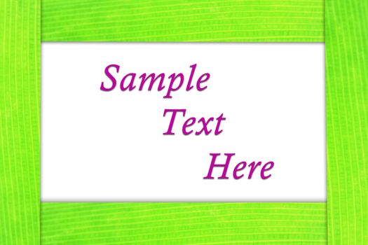frame as green leaf with sample text