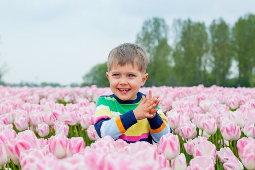 Cute Boy between of the purple tulips field