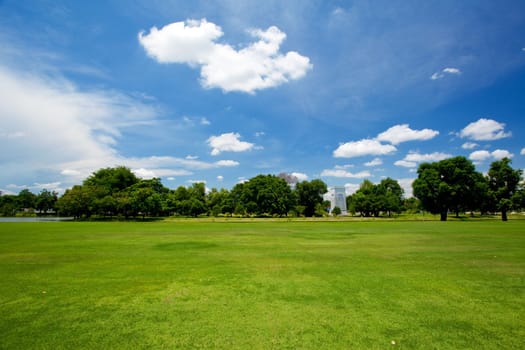 green grass the blue sky