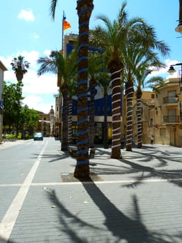decorated palm trees and street in a spanish town