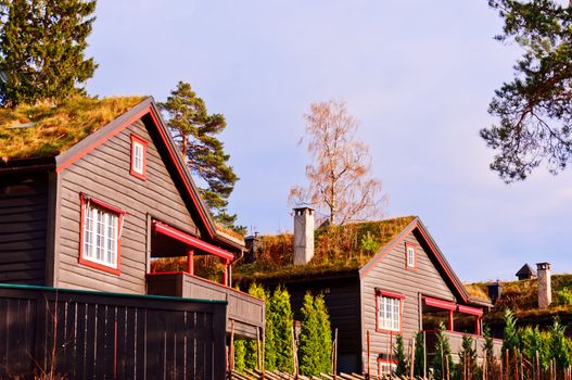 Typical scandinavian houses with grass on a roof