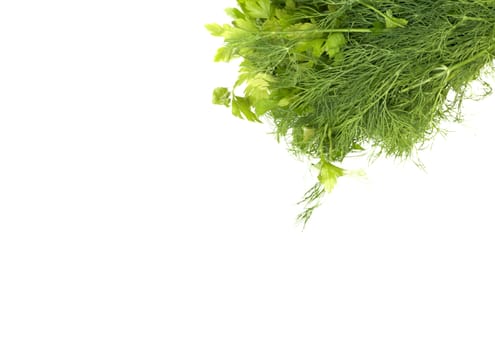 dill and parsley isolated on a white background 