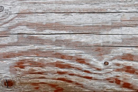 Detail of the old wooden board with knots and annual rings