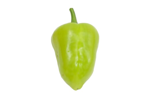 Green pepper isolated on the white background 