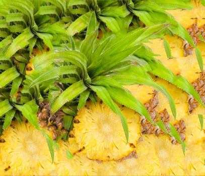Pineapple background 