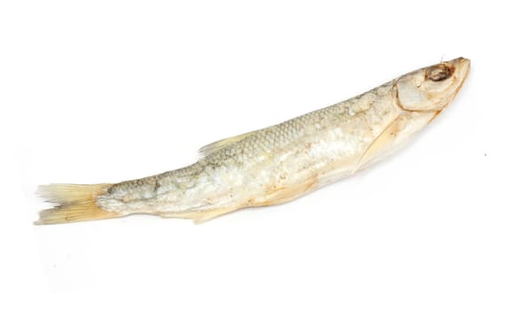 Dried fish on a white background