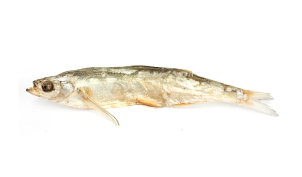 Dried fish on a white background