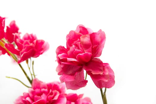 Artificial red flowers on a white background