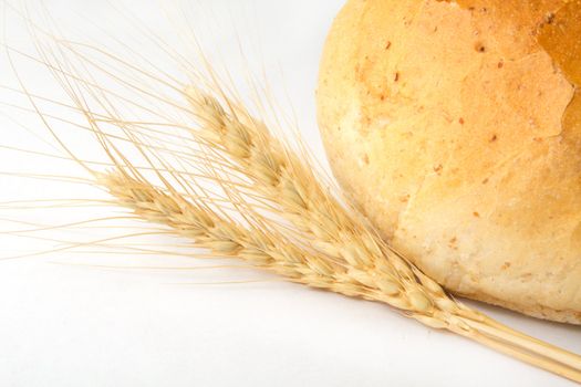 bread and wheat on a white background