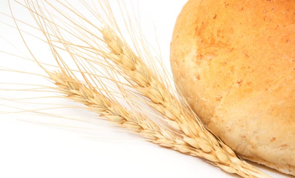 wheat and bread on a white background