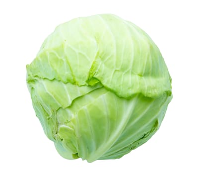Single green cabbage with dew. Close-up. Isolated on white background. Studio photography. 