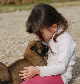 a little girl kissing her baby purebred belgian shepherd