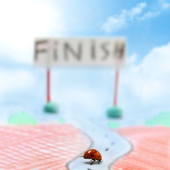 fast ladybug racer run to finish