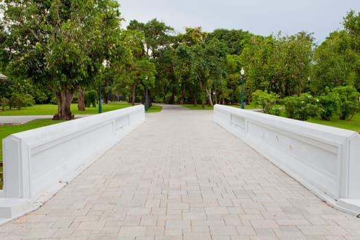 bridge in park