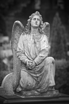 A prayer angel's statue in a cemetery.