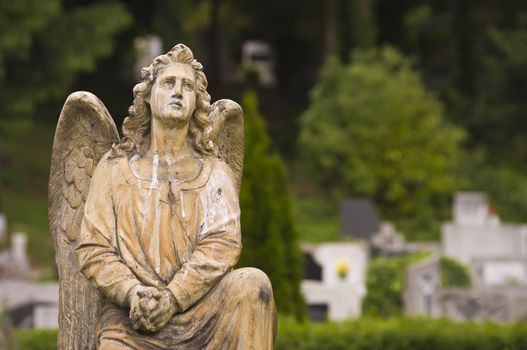 A prayer angel's statue in a cemetery.