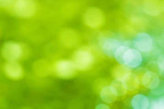 Abstract green holiday lights