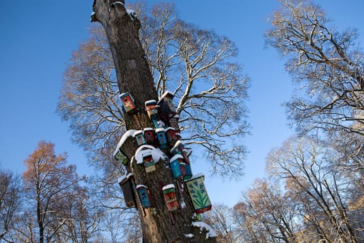 Nesting boxes on a snow covered tree in a winter forest