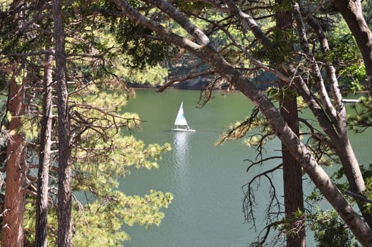 A lone sailboat glides across Lake Gregory in Southern California.